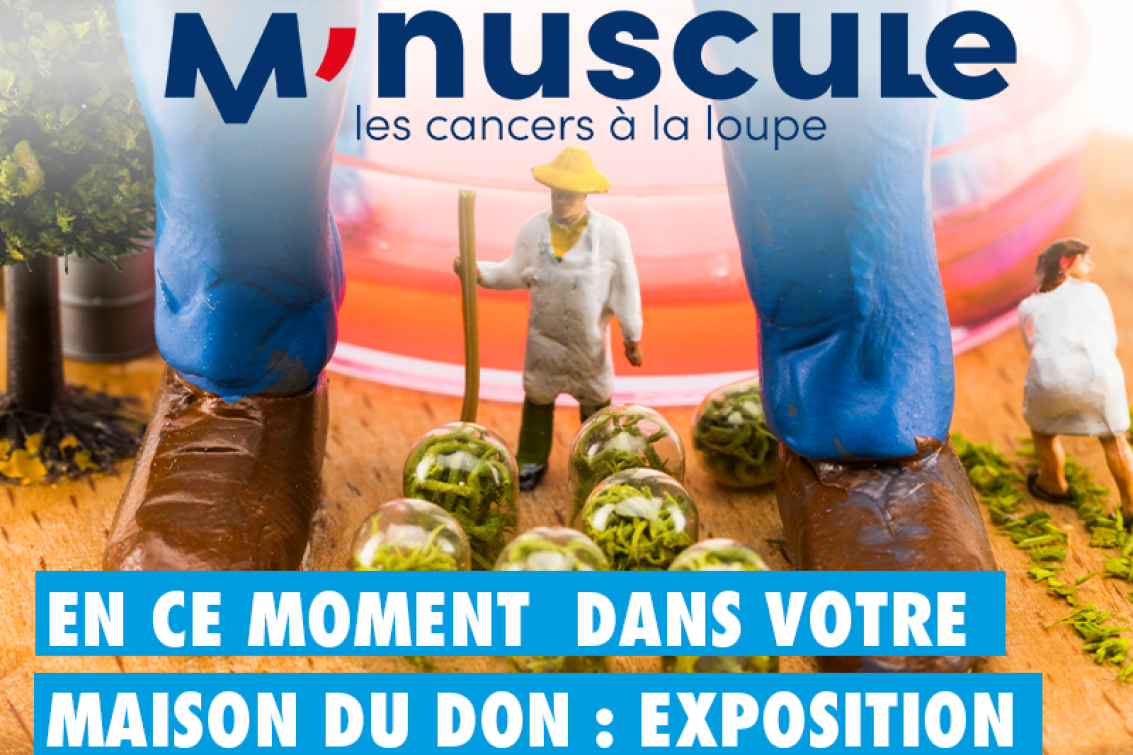 minuscule-exposition-don-de-sang-nantes