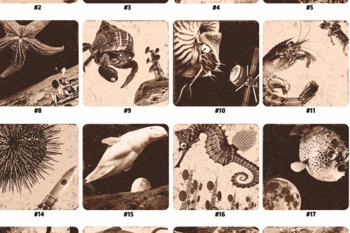 Couverture exposition Christophe Arthur