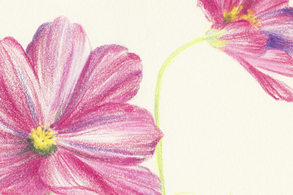 Couverture exposition Lise Le Marchal