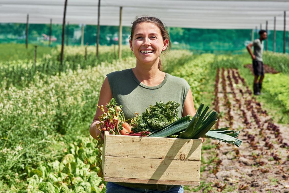 collation circuit court Maison du don 