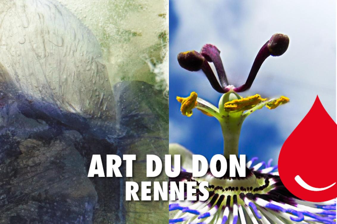Expositions florales à la Maison du don de Rennes 💮