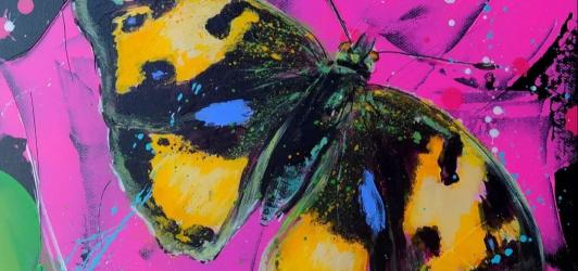 peinture d'un papillon coloré par Charlotte Delbary